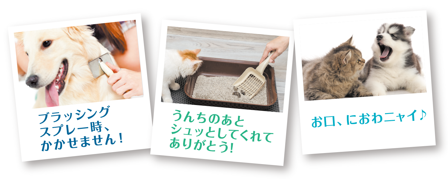 Yuragi 潤水 Ag+